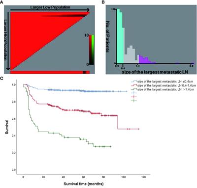 Corrigendum: Incorporation size of lymph node metastasis focus and pre-ablation stimulated Tg could more effectively predict clinical outcomes in differentiated thyroid cancer patients without distant metastases